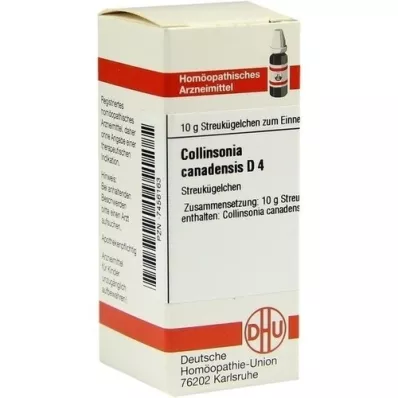 COLLINSONIA CANADENSIS D 4 kuler, 10 g