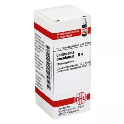COLLINSONIA CANADENSIS D 4 kuler, 10 g