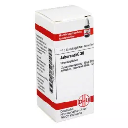 JABORANDI C 30 globuler, 10 g