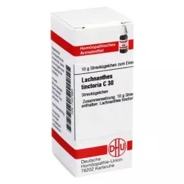 LACHNANTHES tinctoria C 30 globuler, 10 g