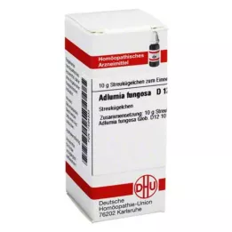 ADLUMIA fungosa D 12 kuler, 10 g