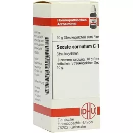 SECALE CORNUTUM C 12 kuler, 10 g