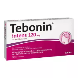 TEBONIN intensive 120 mg filmdrasjerte tabletter, 30 stk