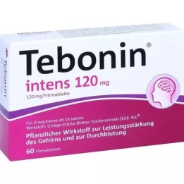 TEBONIN intensive 120 mg filmdrasjerte tabletter, 60 stk