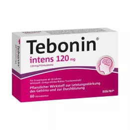 TEBONIN intensive 120 mg filmdrasjerte tabletter, 60 stk