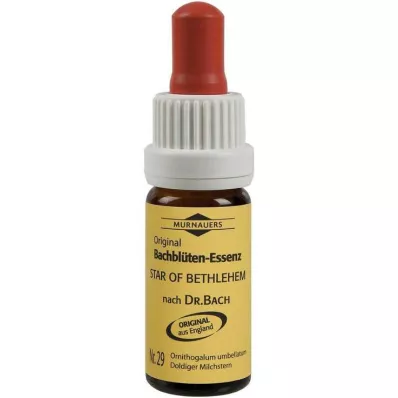 Bachblomster Murnauer-dråper Betlehemsstjerne, 20 ml Bachblomster Murnauer-dråper Betlehemsstjerne, 20 ml