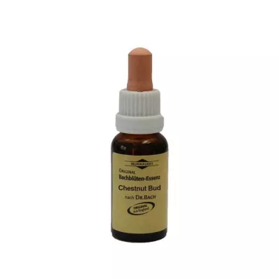 Bachblomster Murnauer-dråper Kastanjeknopp, 20 ml