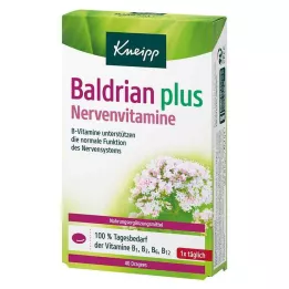KNEIPP Baldrian plus nervevitaminer dragées, 40 stk