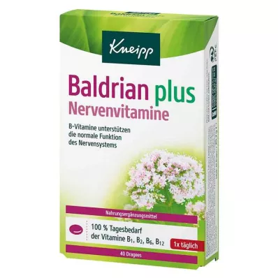 Kneipp Valerian plus nerve vitaminer dragéer, 40 stk Kneipp Valerian plus nerve vitaminer dragéer, 40 stk