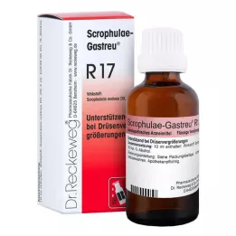 Scrophulae Gastreu R 17 dråper til oral bruk, 50 ml