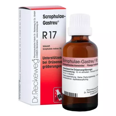 Scrophulae Gastreu R 17 dråper til oral bruk, 50 ml