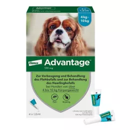 ADVANTAGE 100 oppløsninger for hunder 4-10 kg, 4 stk