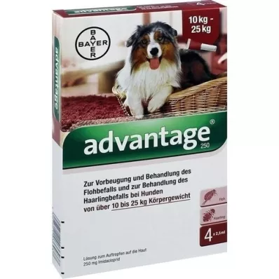 ADVANTAGE 250 oppløsning for hunder 10-25 kg, 4 stk