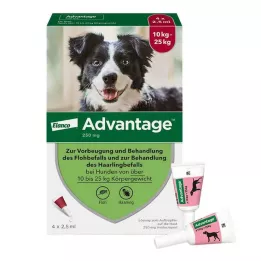 ADVANTAGE 250 oppløsning for hunder 10-25 kg, 4 stk