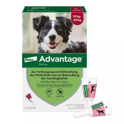 ADVANTAGE 250 oppløsning for hunder 10-25 kg, 4 stk ADVANTAGE 250 oppløsning for hunder 10-25 kg, 4 stk