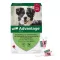 ADVANTAGE 250 oppløsning for hunder 10-25 kg, 4 stk
