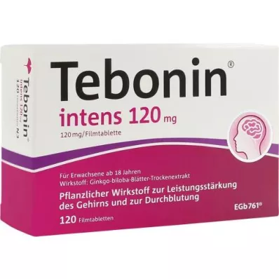 TEBONIN intensive 120 mg filmdrasjerte tabletter, 120 stk