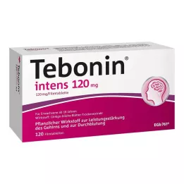 TEBONIN intensive 120 mg filmdrasjerte tabletter, 120 stk