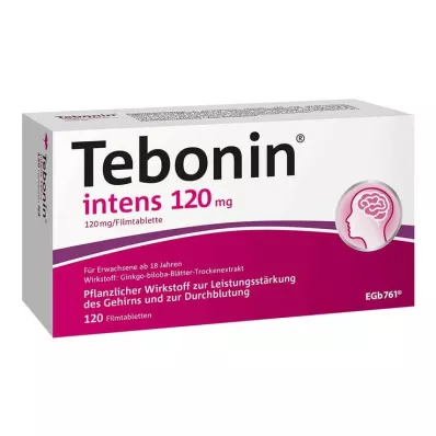 TEBONIN intensive 120 mg filmdrasjerte tabletter, 120 stk