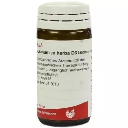 ABROTANUM EX Herba D 3 kuler, 20 g