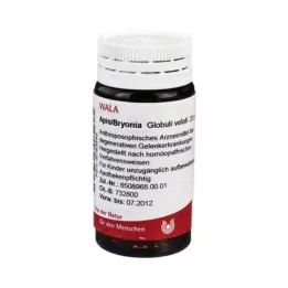 Apis Bryonia kuler, 20 g