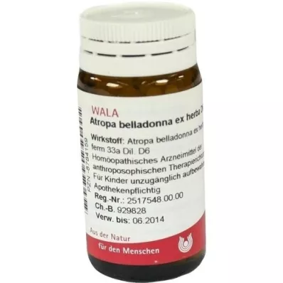 ATROPA belladonna ex Herba D 6 kuler, 20 g
