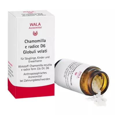Chamomilla E Radix D 6 kuler, 20 g Chamomilla E Radix D 6 kuler, 20 g