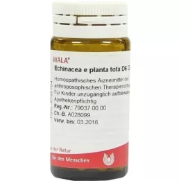 ECHINACEA E planta tota D 6 globuler, 20 g