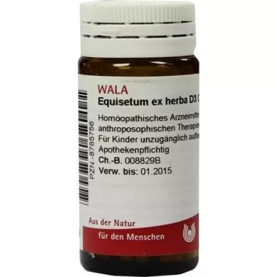 EQUISETUM EX Herba D 3 kuler, 20 g