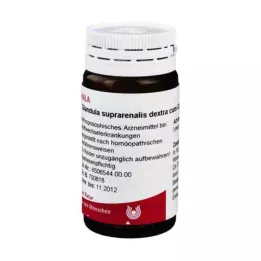 GLANDULA SUPRARENALIS dextra cum Cupro-globuler, 20 g