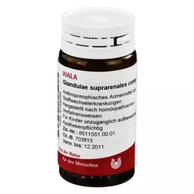 Glandulae suprarenalis komp.Gl, 20 g Glandulae suprarenalis komp.Gl, 20 g