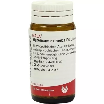 HYPERICUM EX Herba D 6 kuler, 20 g