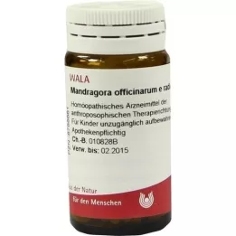 MANDRAGORA OFFICINARIUM e radice D 6 kuler, 20 g