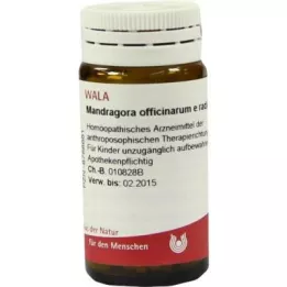 MANDRAGORA OFFICINARIUM e radice D 6 kuler, 20 g