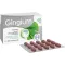GINGIUM 40 mg filmdrasjerte tabletter, 120 stk