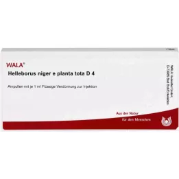 HELLEBORUS NIGER e planta tota D 4 Ampuller, 10X1 ml