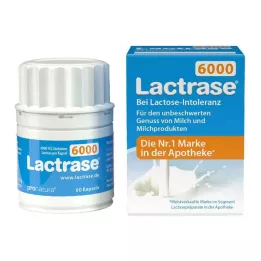 Lactrase 6000 FCC kapsler, 60 stk
