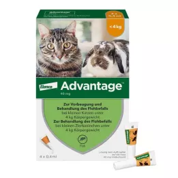 ADVANTAGE 40 mg oppløsning til små katter/små kjæledyrkaniner, 4X0,4 ml