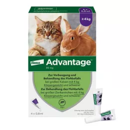 ADVANTAGE 80 mg for store katter og kaniner, 4X0,8 ml