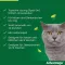 ADVANTAGE 80 mg for store katter og kaniner, 4X0,8 ml