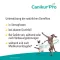 Canikur Pro veterinær.Pasta, 60 ml