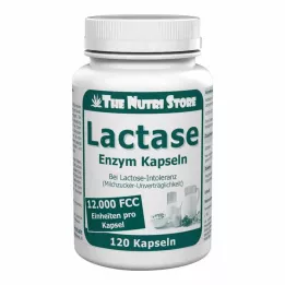 LACTASE 12 000 FCC Enzymkapsler, 120 stk