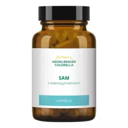SAM S-ADENOSYLMETHIONIN Kapsler, 60 stk