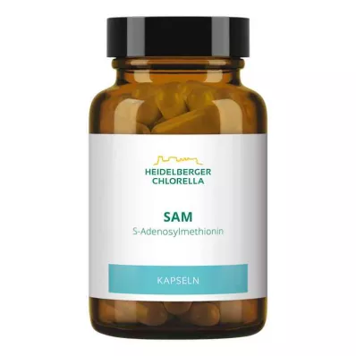 SAM S-ADENOSYLMETHIONIN Kapsler, 60 stk