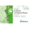 SIDROGA Wellness grønn te med Nana Mint Filter Pouch, 20X1,5 g