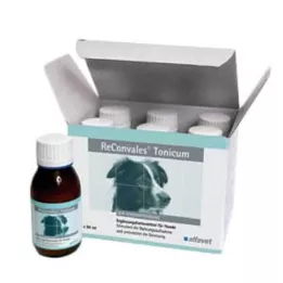 Reconvales Tonic for hunder, 6X90 ml