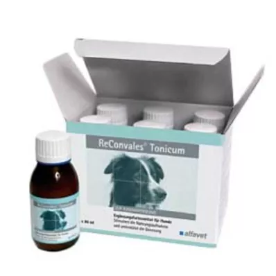 RECONVALES Tonic for hunder, 6X90 ml RECONVALES Tonic for hunder, 6X90 ml