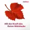 Antistax venekrem revitaliserer slitne & tunge ben, 100 g