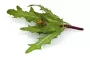 Instructions for use for GASTEO Dråper for gastrointestinale plager, 20 ml - 6