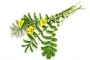 Instructions for use for GASTEO Dråper for gastrointestinale plager, 20 ml - 8